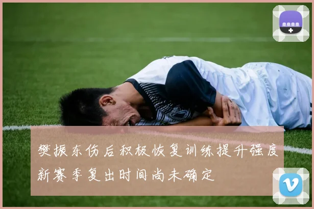 樊振东伤后积极恢复训练提升强度新赛季复出时间尚未确定