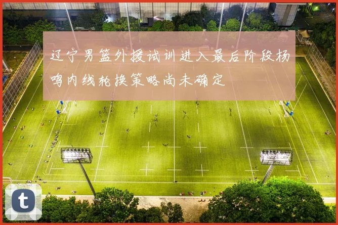 辽宁男篮外援试训进入最后阶段杨鸣内线轮换策略尚未确定
