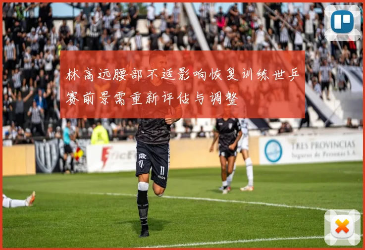 林高远腰部不适影响恢复训练世乒赛前景需重新评估与调整